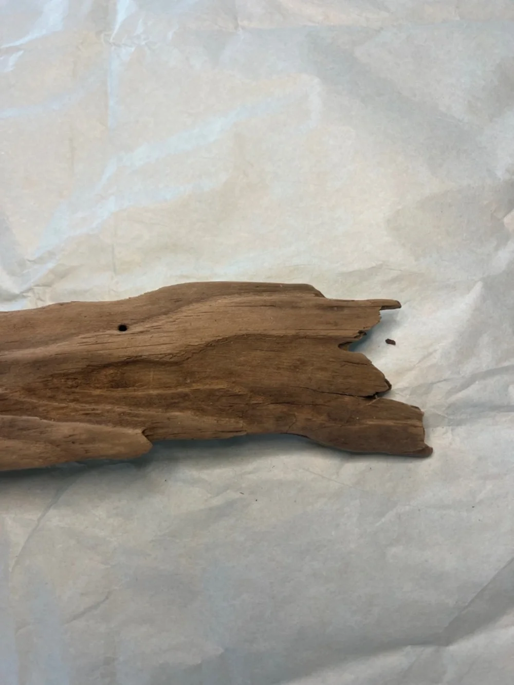 Natural Driftwood Decor found at Potomac River- Brown - Picture 9 of 14